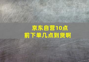 京东自营10点前下单几点到货啊