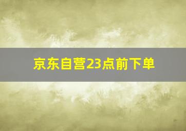 京东自营23点前下单