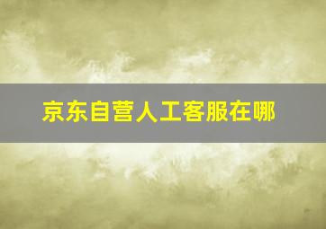 京东自营人工客服在哪