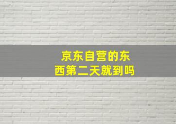 京东自营的东西第二天就到吗