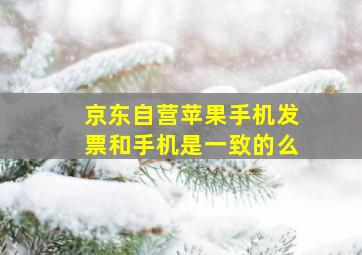 京东自营苹果手机发票和手机是一致的么