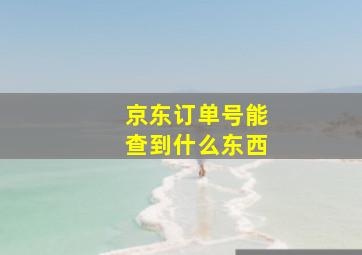 京东订单号能查到什么东西