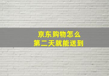 京东购物怎么第二天就能送到