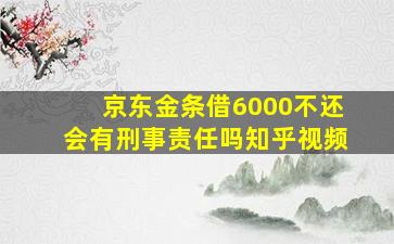 京东金条借6000不还会有刑事责任吗知乎视频