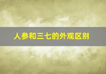 人参和三七的外观区别