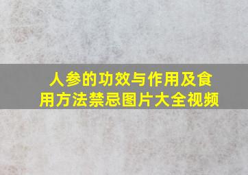 人参的功效与作用及食用方法禁忌图片大全视频