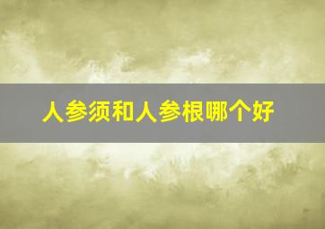 人参须和人参根哪个好