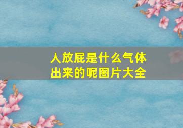 人放屁是什么气体出来的呢图片大全