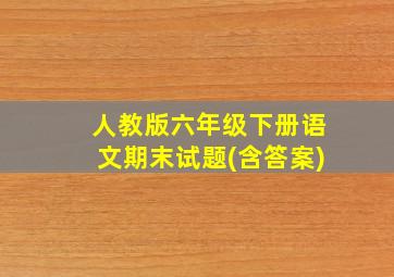 人教版六年级下册语文期末试题(含答案)