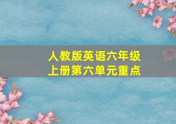 人教版英语六年级上册第六单元重点