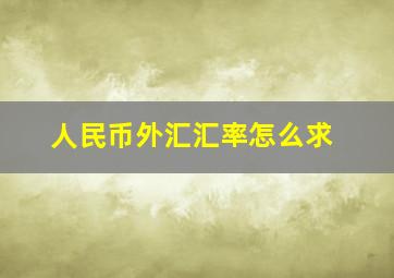 人民币外汇汇率怎么求