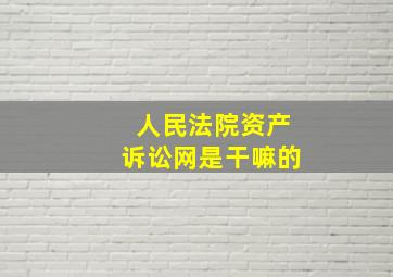 人民法院资产诉讼网是干嘛的