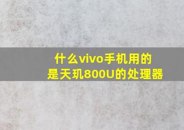 什么vivo手机用的是天玑800U的处理器