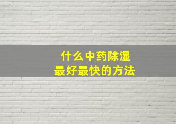 什么中药除湿最好最快的方法