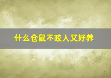 什么仓鼠不咬人又好养