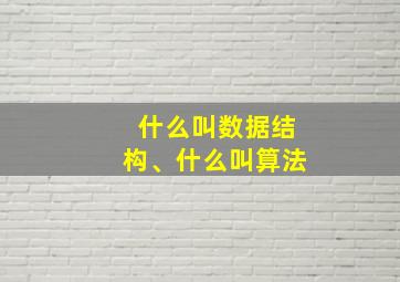 什么叫数据结构、什么叫算法