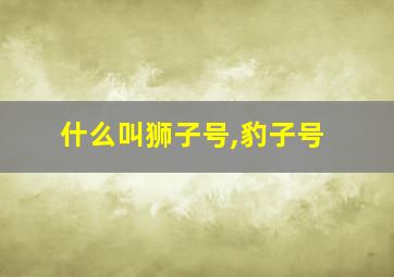 什么叫狮子号,豹子号