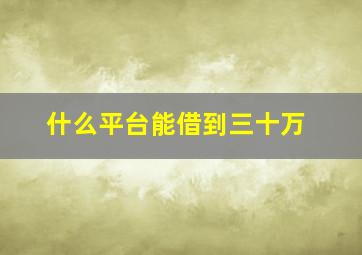 什么平台能借到三十万