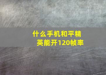 什么手机和平精英能开120帧率