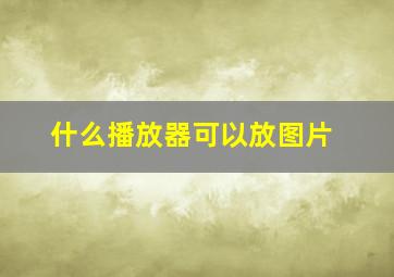 什么播放器可以放图片