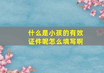 什么是小孩的有效证件呢怎么填写啊