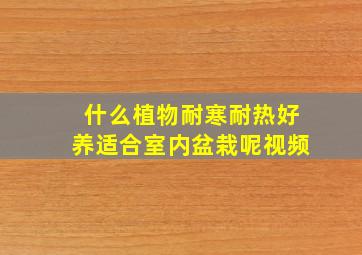 什么植物耐寒耐热好养适合室内盆栽呢视频