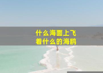 什么海面上飞着什么的海鸥