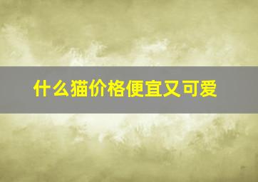 什么猫价格便宜又可爱