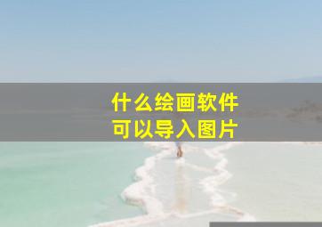 什么绘画软件可以导入图片