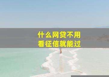 什么网贷不用看征信就能过