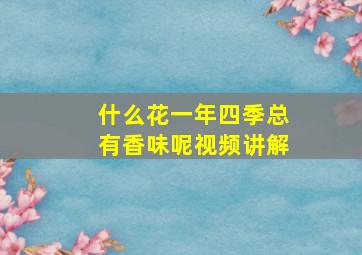 什么花一年四季总有香味呢视频讲解