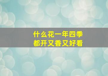 什么花一年四季都开又香又好看