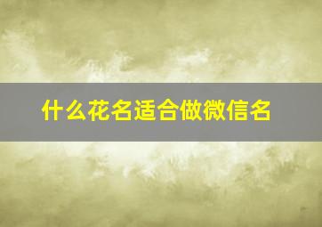 什么花名适合做微信名