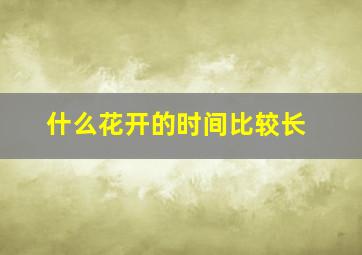 什么花开的时间比较长