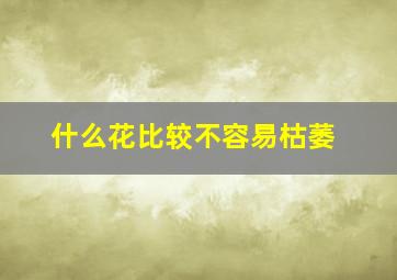 什么花比较不容易枯萎