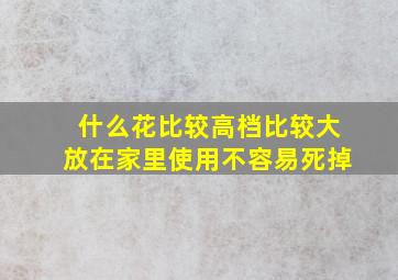 什么花比较高档比较大放在家里使用不容易死掉