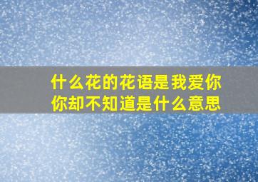 什么花的花语是我爱你你却不知道是什么意思