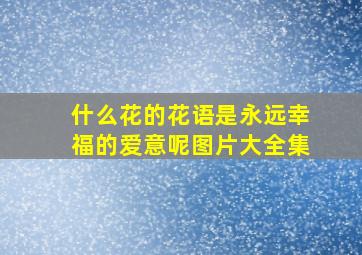 什么花的花语是永远幸福的爱意呢图片大全集