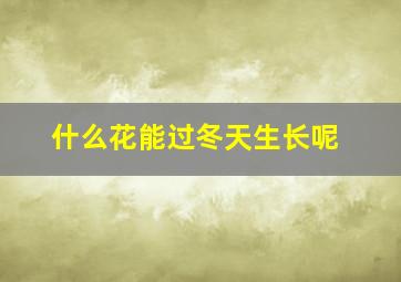 什么花能过冬天生长呢