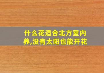 什么花适合北方室内养,没有太阳也能开花