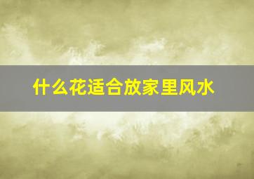 什么花适合放家里风水