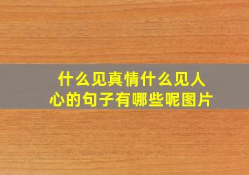 什么见真情什么见人心的句子有哪些呢图片