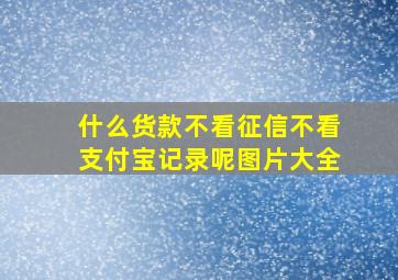 什么货款不看征信不看支付宝记录呢图片大全