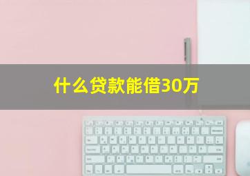 什么贷款能借30万