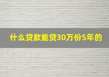 什么贷款能贷30万份5年的