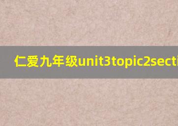 仁爱九年级unit3topic2sectiona