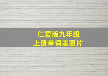 仁爱版九年级上册单词表图片