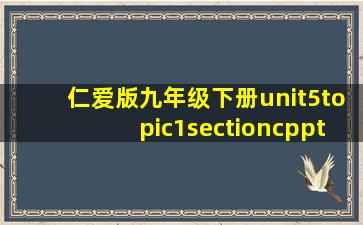 仁爱版九年级下册unit5topic1sectioncppt