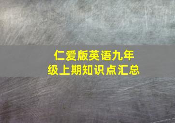 仁爱版英语九年级上期知识点汇总