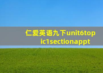 仁爱英语九下unit6topic1sectionappt